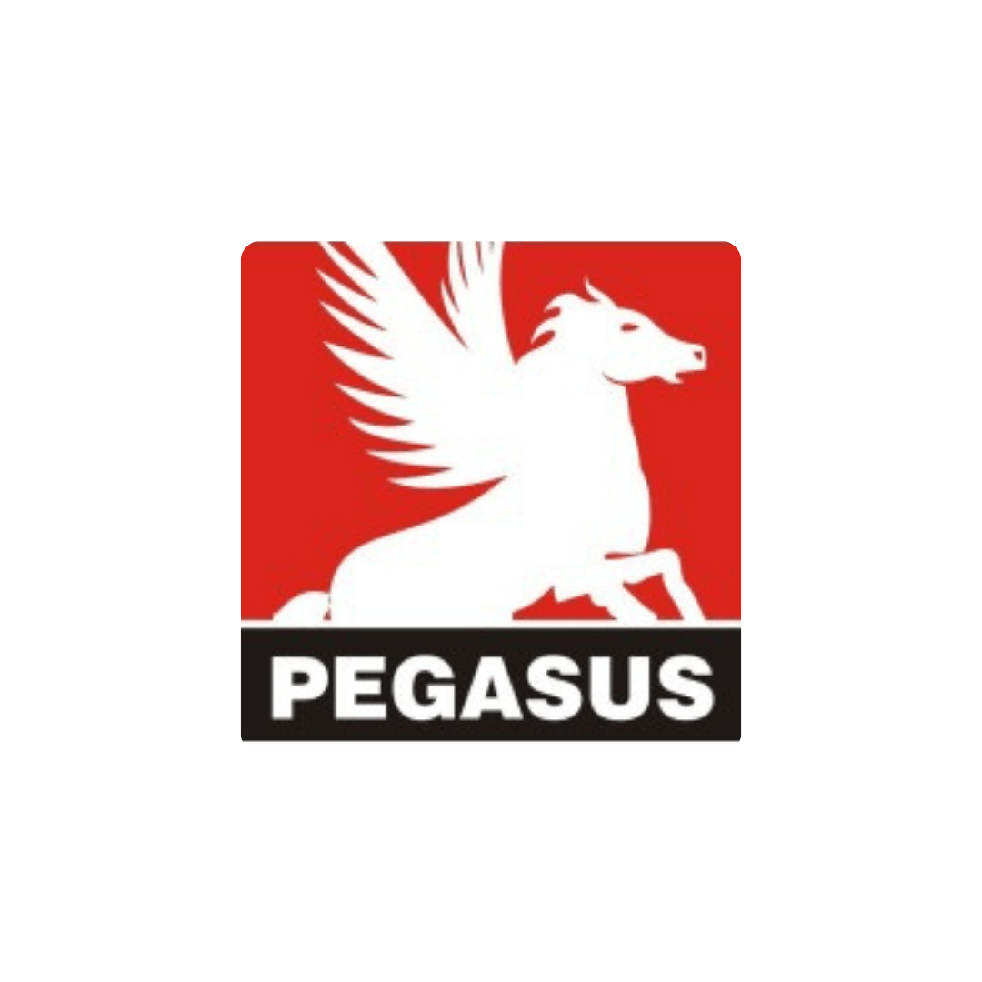 Pegasus - Expert Financial Advisory Services
